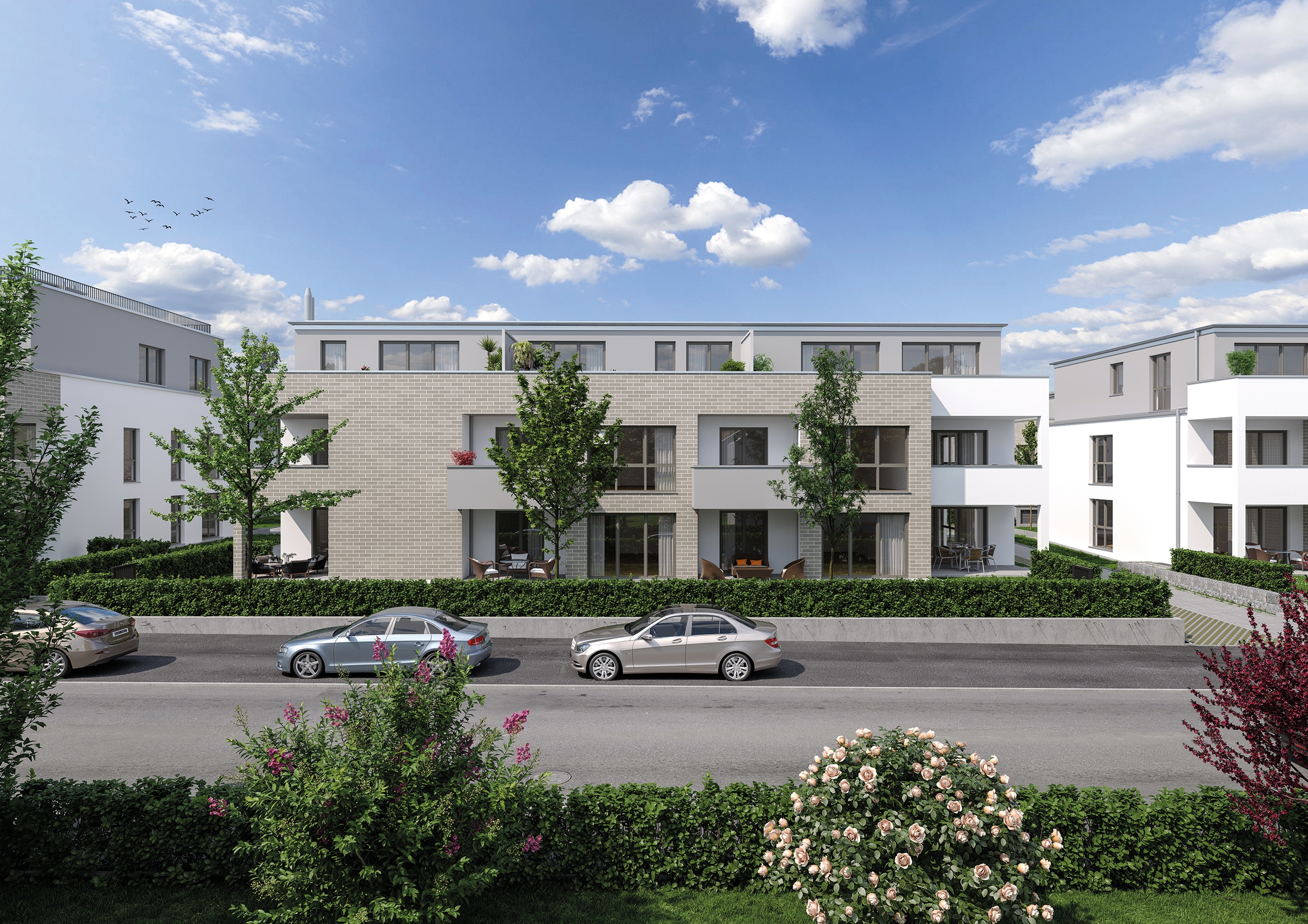 Kleespies Projekt Hattersheim