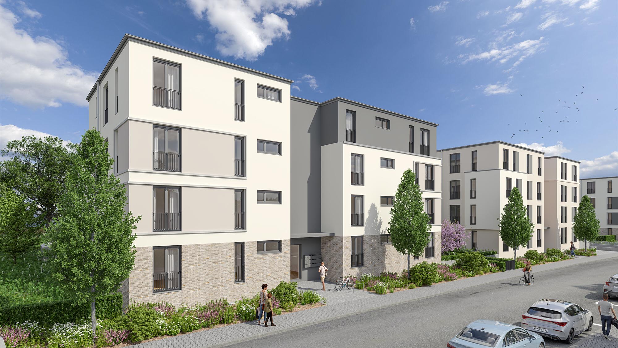 Projekt Tribus in Rodenbach - Eingangsseite