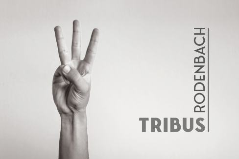 Logo Kleespies Bauprojekt Tribus1 in Rodenbach